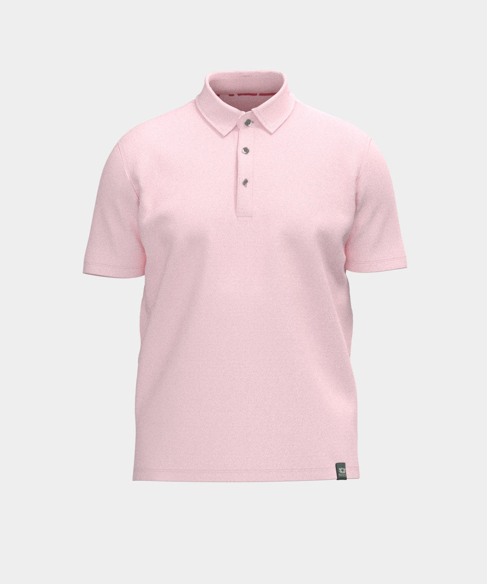 970-Polo_Clean__regular.jpg
