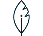 Lleuger-ico.png