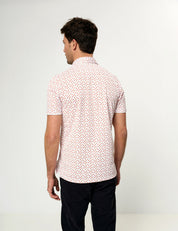 Polo Identity - regular